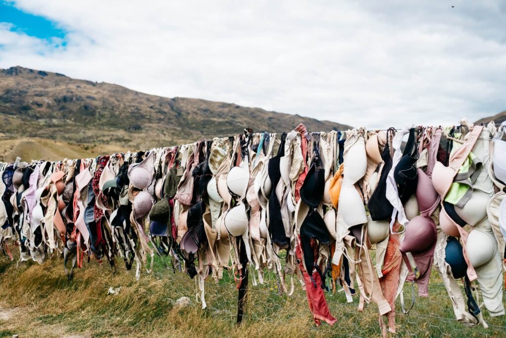 lots of bras hanging on a clothes line