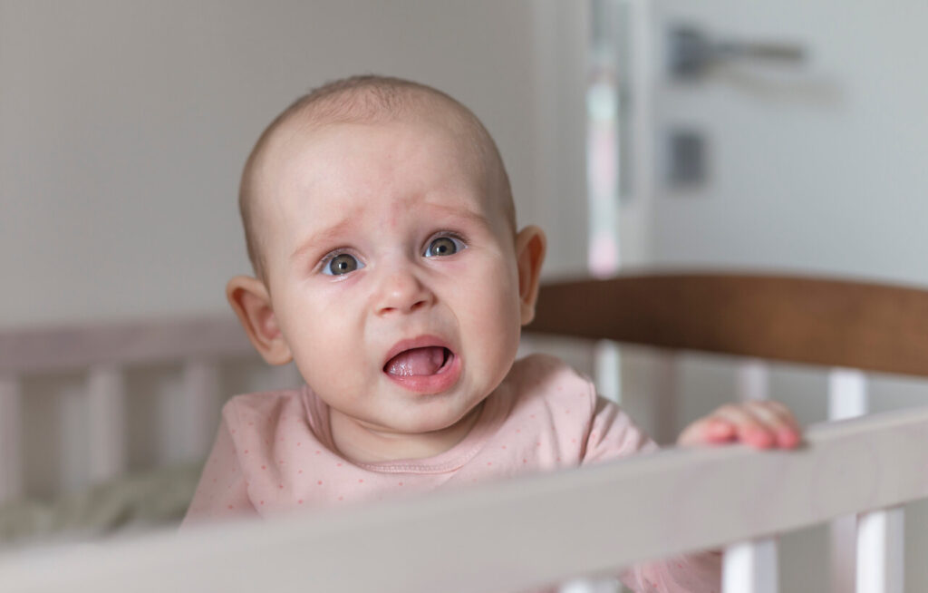 First teeth grow in a baby