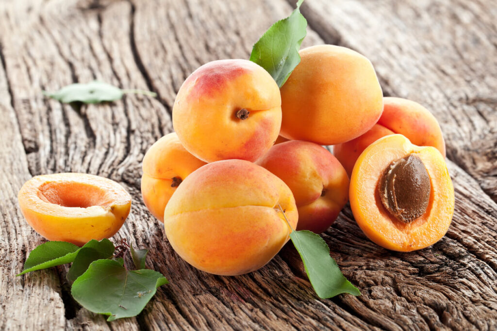 Apricots with leaves