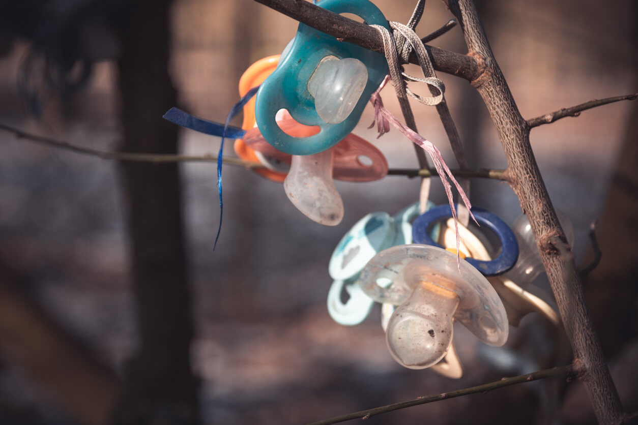 a bunch of pacifiers handing in a tree for the binky fairy