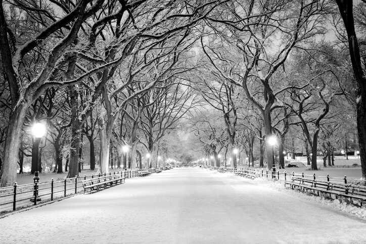 Central Park, NY covered in snow at dawn