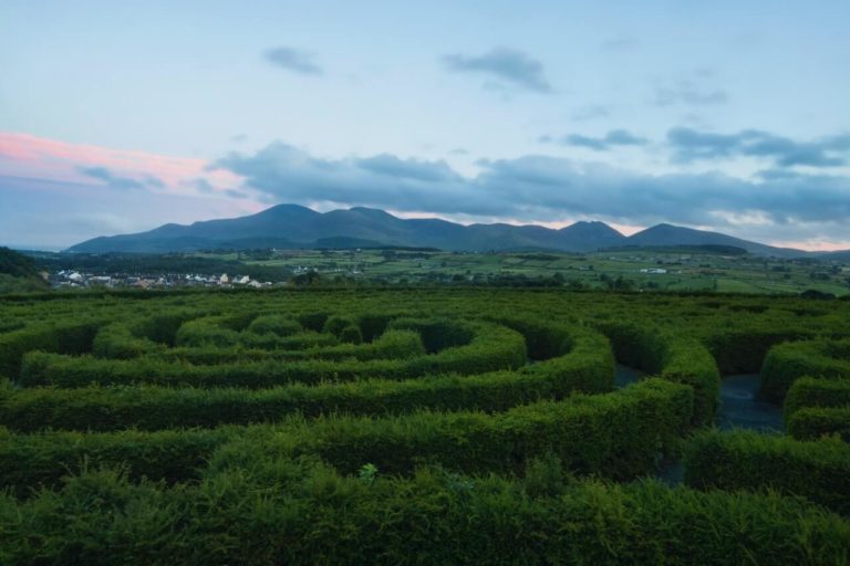 Spiral Green Plants in Ireland