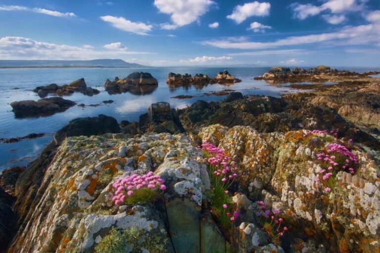 Rock Formations and Ocean during Day in Ireland